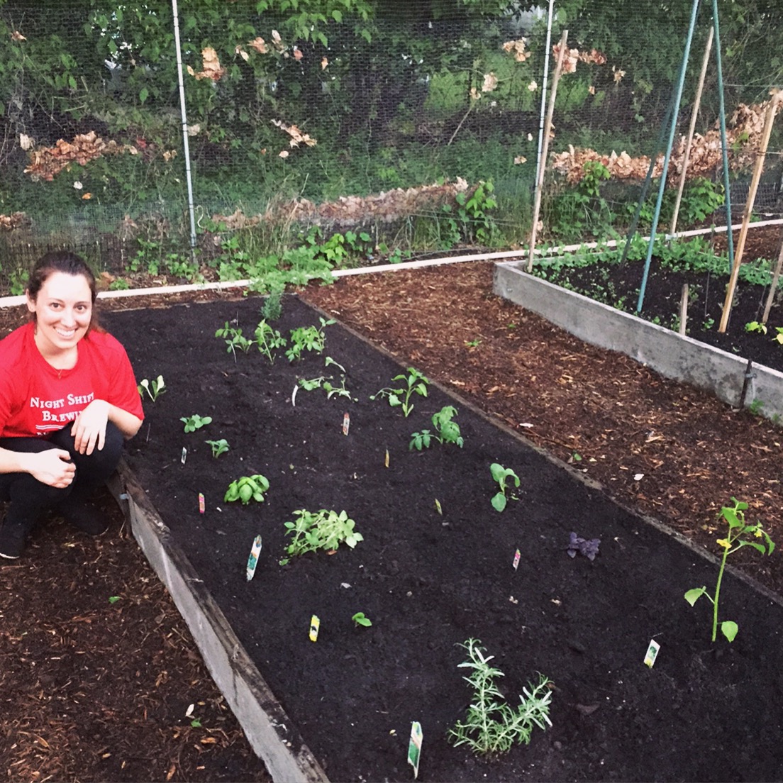 VEGGIES: Community Garden Update, Part V