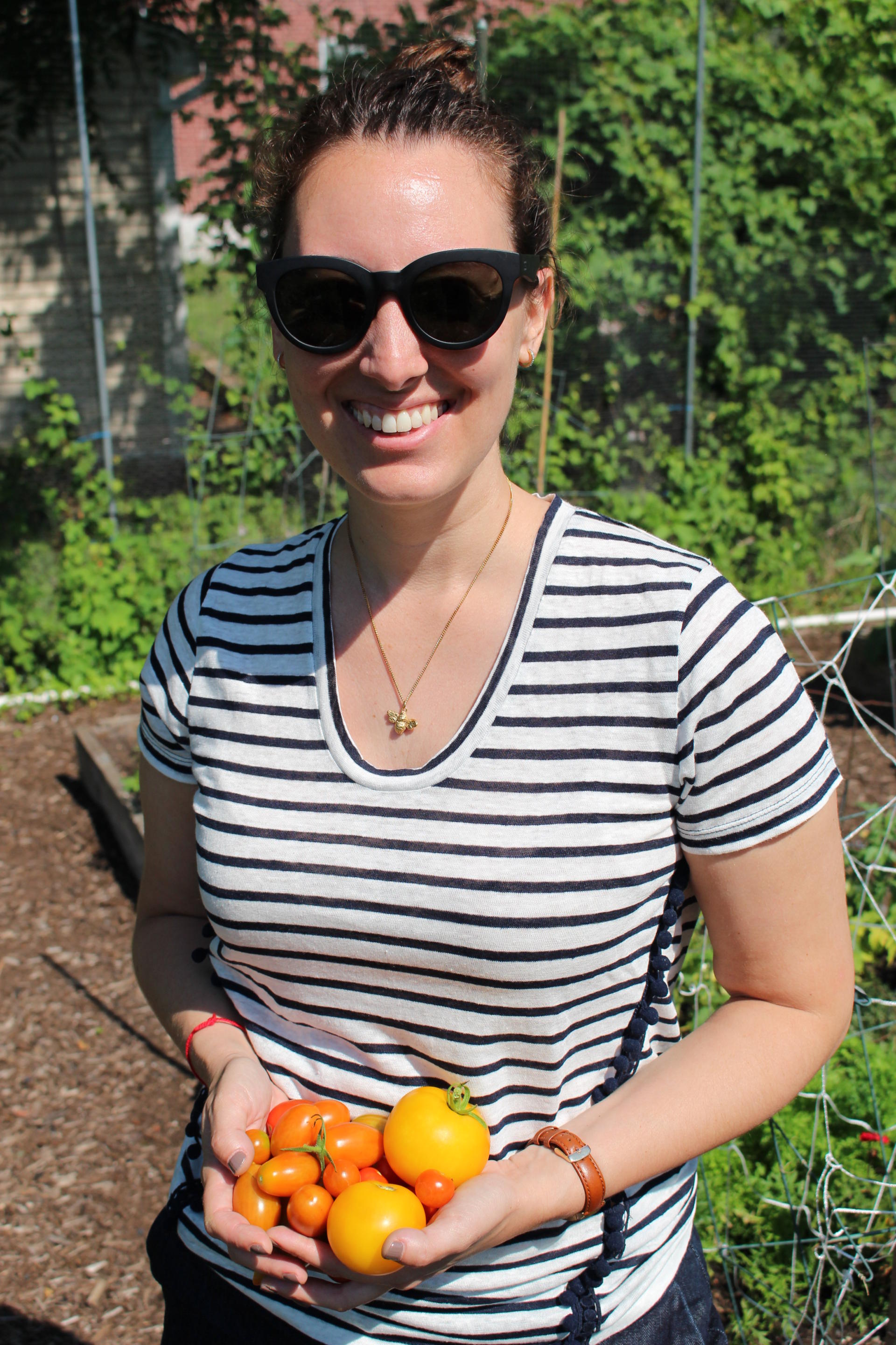 VEGGIES: Community Garden Update
