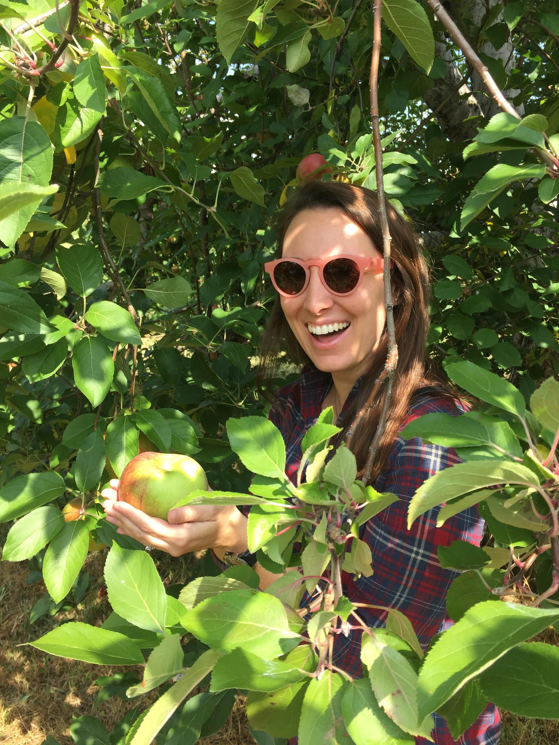 LOCAL: Apple Picking and Pumpkin Patching at Riamede Farm by popular New Jersey blogger What's For Dinner Esq.