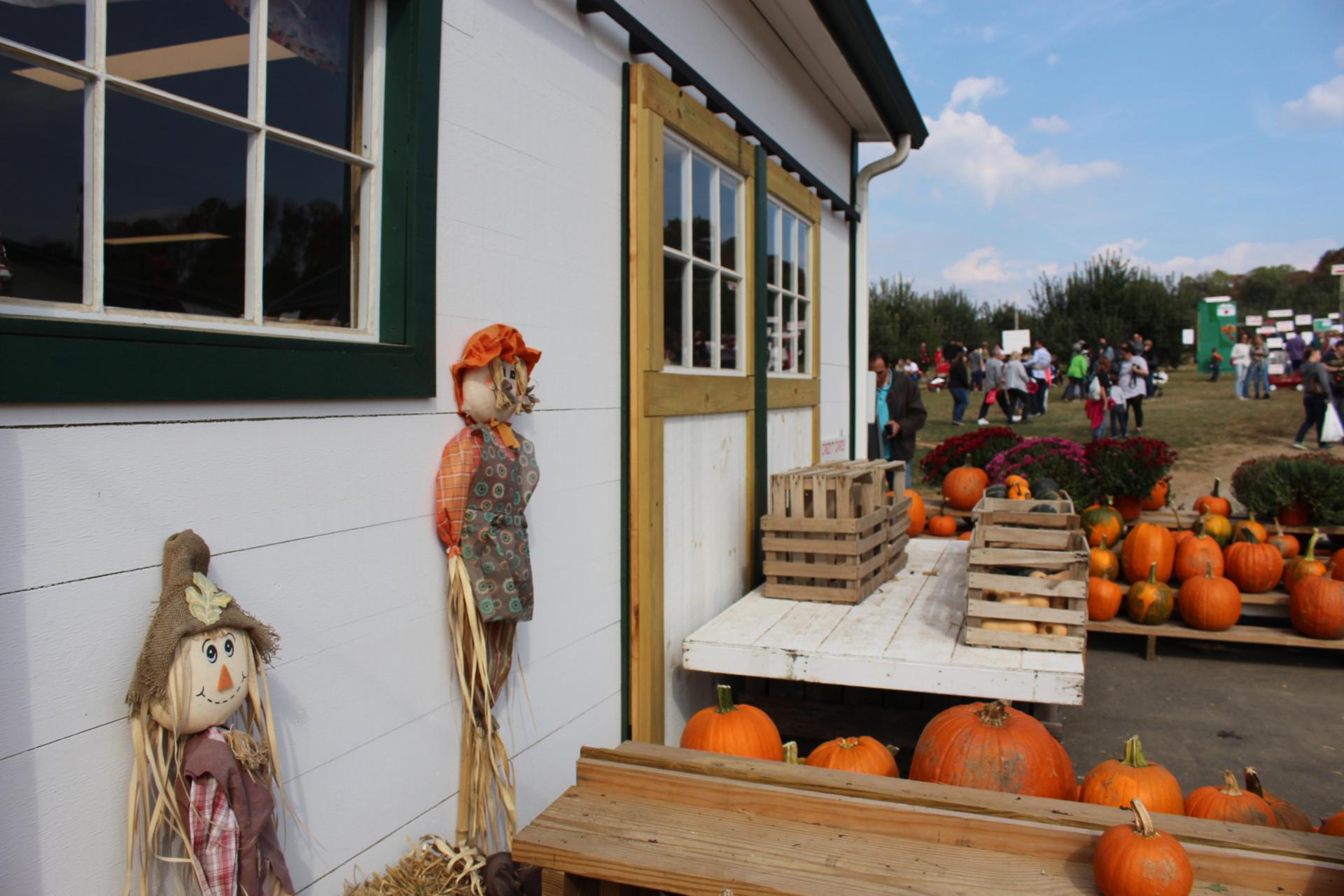 LOCAL: Apple Picking and Pumpkin Patching at Riamede Farm by popular New Jersey blogger What's For Dinner Esq.