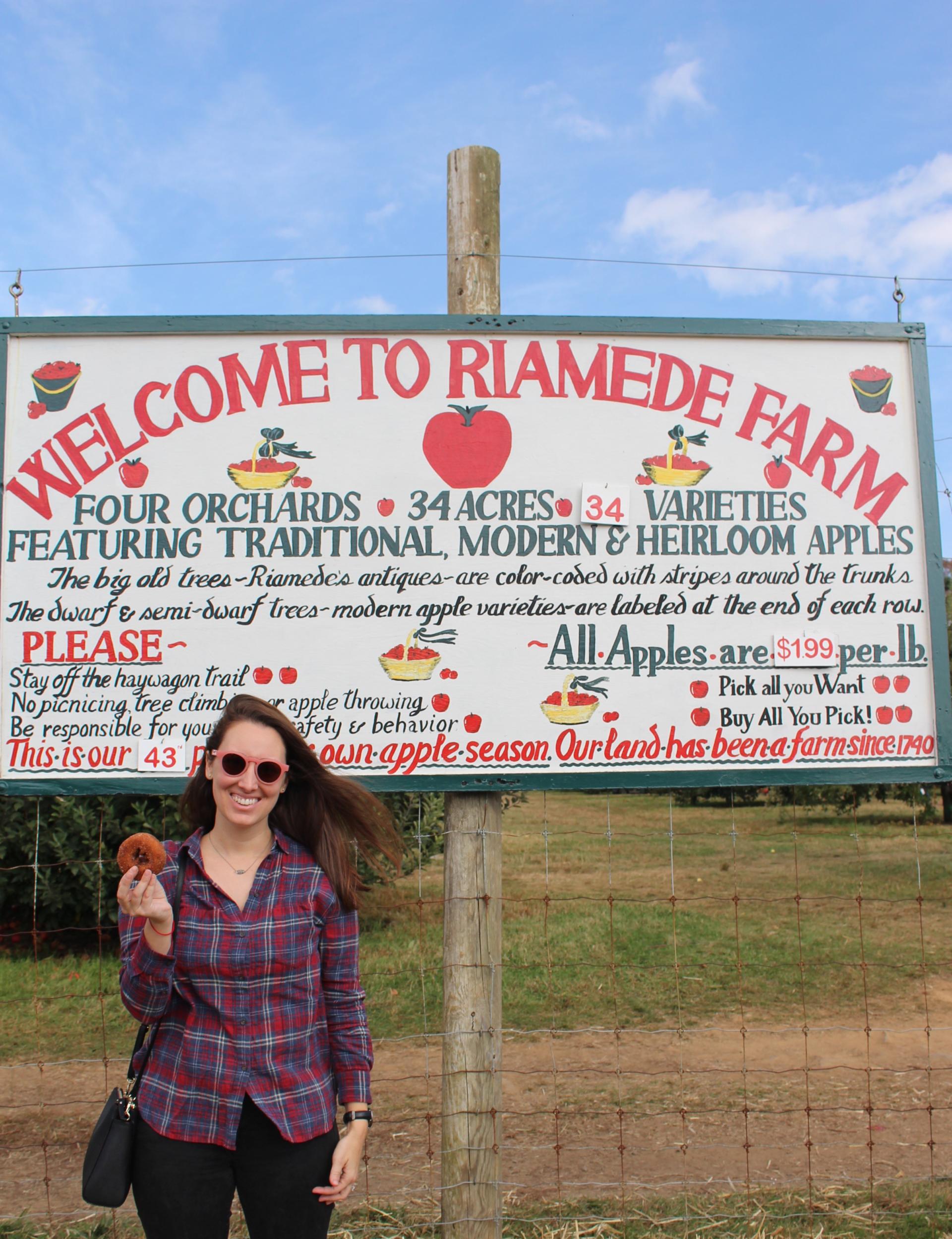 LOCAL: Apple Picking and Pumpkin Patching at Riamede Farm by popular New Jersey blogger What's For Dinner Esq.